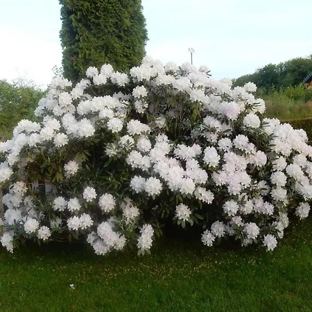 펜션 Cosy Avec Piscine Privee Au Val-d'ajol, 3 - Fr-1-589-597 Le Val-dʼAjol