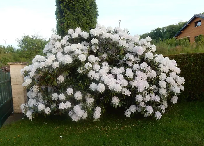 Prázdninový dům Cosy Avec Piscine Privee Au Val-d'ajol, 3 - Fr-1-589-597 Le Val-dʼAjol